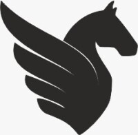 PEGASUS - GLOBAL Internet High Speed Multi Device